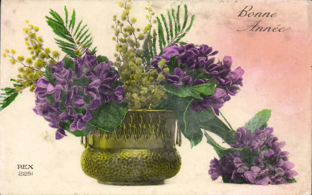 Büschel von Violetten und Mimosen — Frohe Neujahr — REX 2251 - Vorderseite