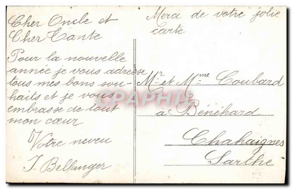 Büschel Violetter — Frohe Neujahr — Verleger nicht sichtbar - Rückseite