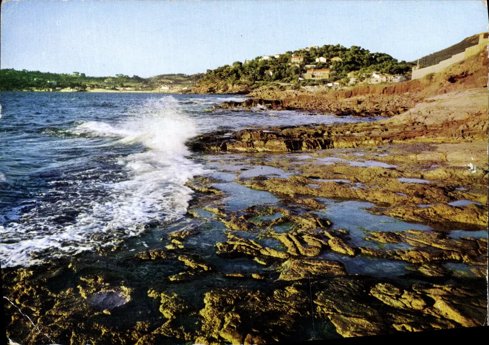 Les Oursimères — Côte d'Azur — Éditions Gail Soleil, n° 576 - Anverso