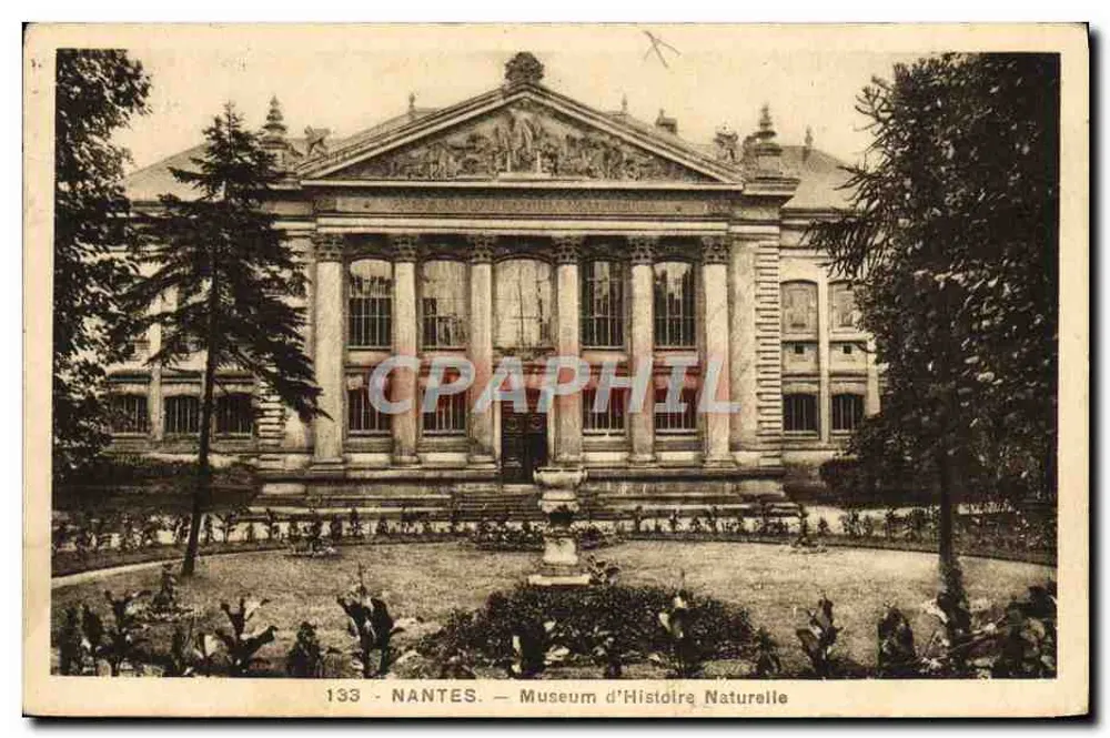 NANTES — Museu de História Natural — A Coruja, editor - Frente