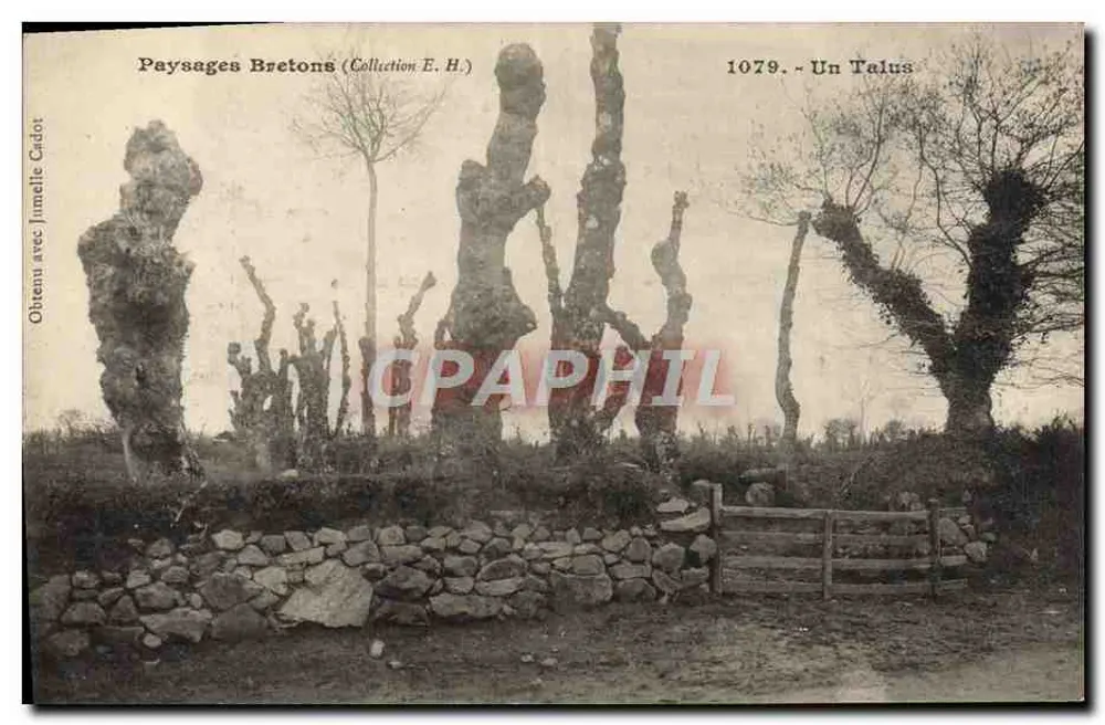 Um Talude — Paisagens Bretãs (Coleção E.H.) — Jimale Cadot n°1079 - Frente