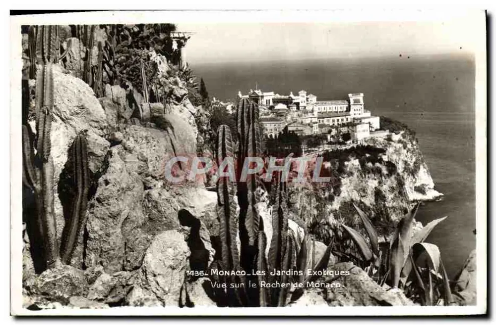 Monaco — Exotische Gärten — Blick auf den Felsen von Monaco — n°1436 - Vorderseite
