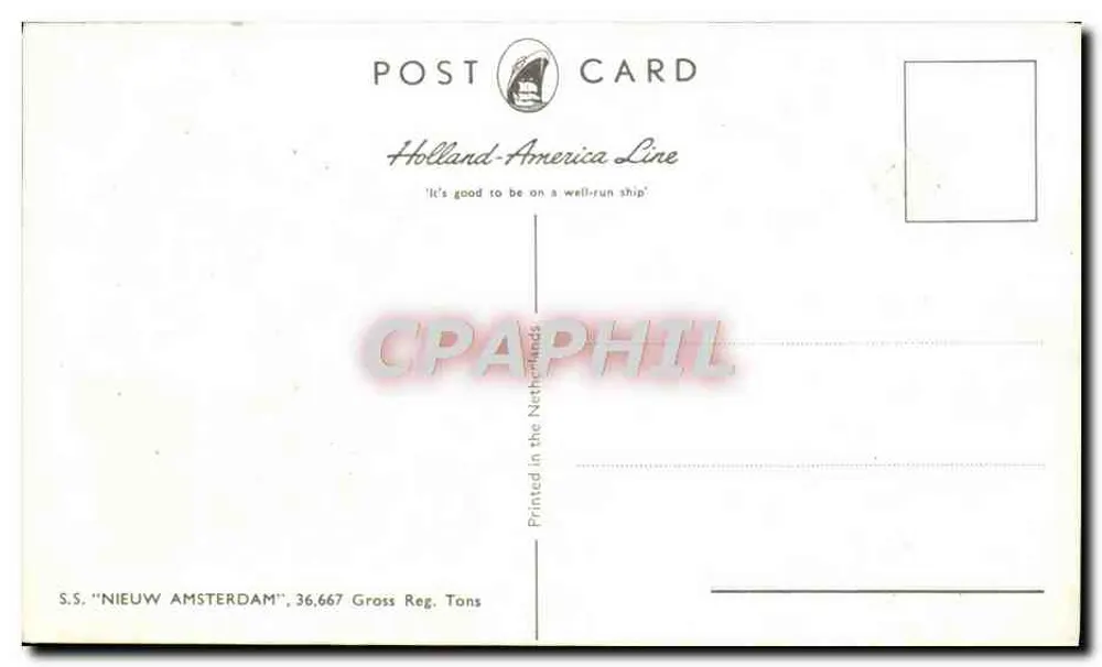 S.S. NIEUW AMSTERDAM — Linha Holland-America — Cartão Postal - Verso