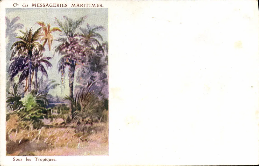 Unter den Tropen — Gesellschaft der Seemessengers — E. Dauvissat et Cie, Paris - Vorderseite