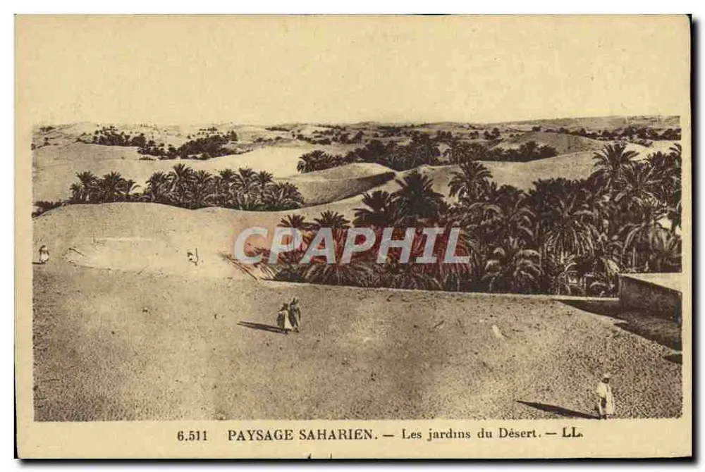 Sahara-Landschaft — Die Gärten der Wüste — LL. — N° 6.511 - Vorderseite