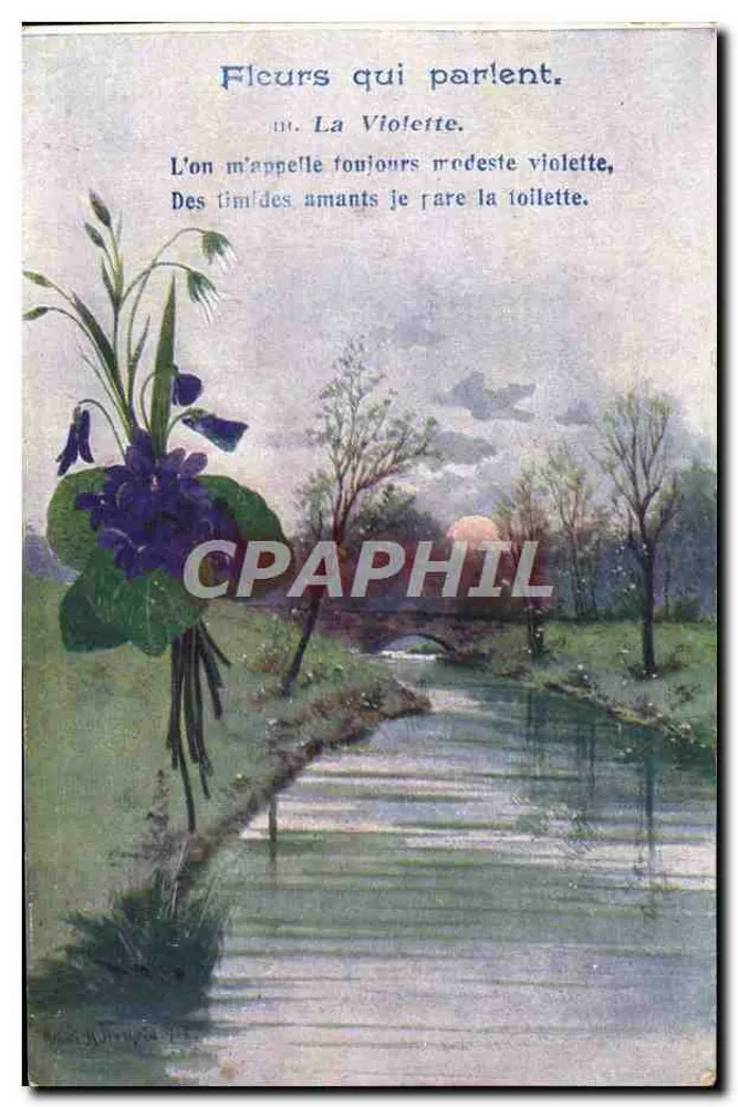 Flores que falam. — A Vióla — editor não visível - Frente