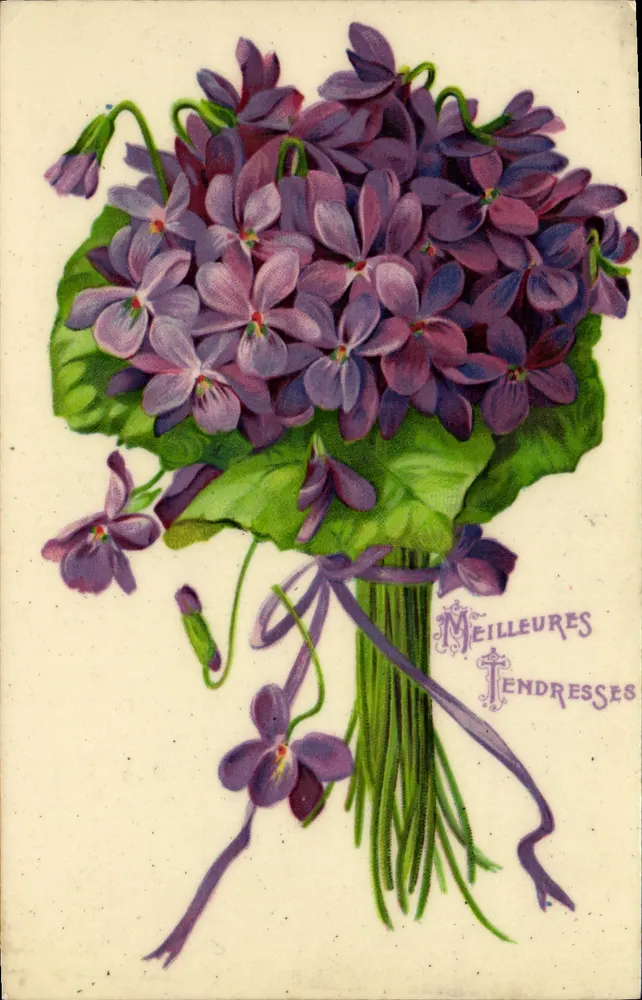 Mata de violetas — Melhores ternuras — K. F. Editores, Paris, Série 186 - Frente