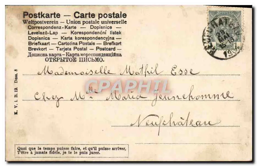 Nerprun — Serie 70 Sprache der Blumen — A.T. 28/15 1904 - Rückseite