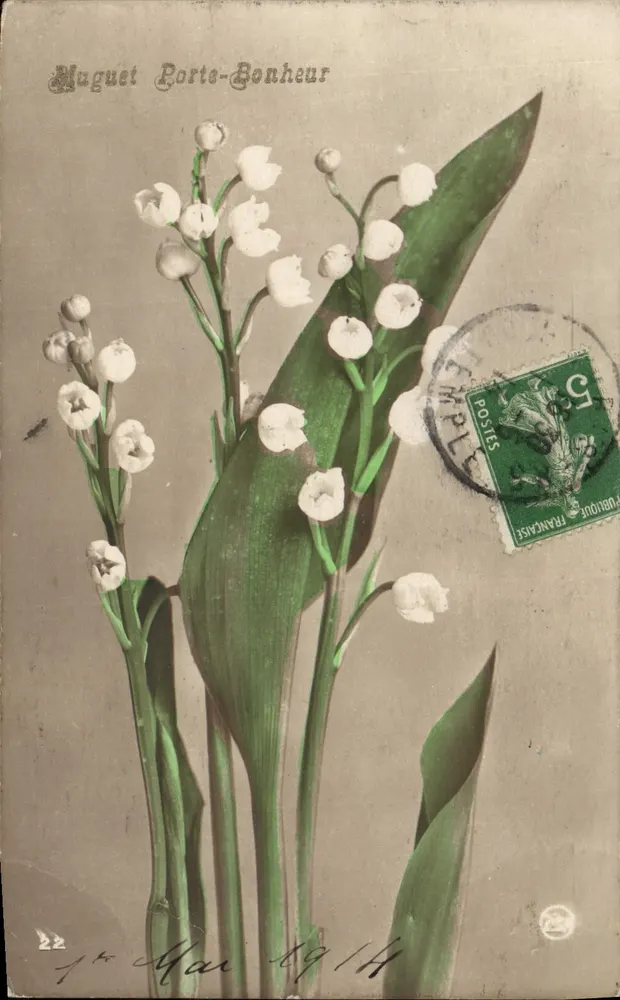 Lilien — Weiße Blüten — Auguste Porte-Bonheur, Nr. 22 - Vorderseite