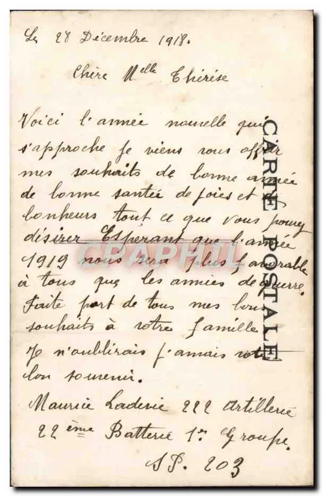 Frau in einem rosa Kleid mit einem Blumenkorb — Frohe Neujahr 1919 — anonymer Verleger, Nr. 7 - Rückseite