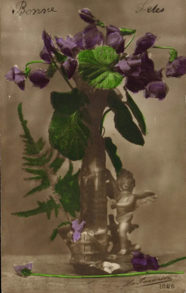 Violeta — buquê em um vaso decorado com um putto — La Favorita 1026 - Frente
