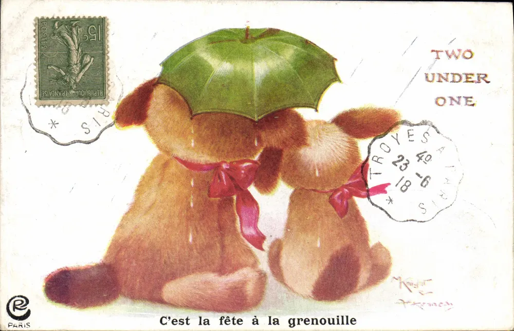 Zwei Welpen unter einem Regenschirm — Es ist die Froschparty — Verlag C.W. Faulkner & Co, Serie 12 - Vorderseite