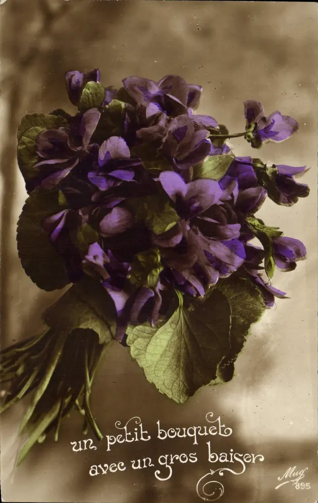 Mata de violetas — texto impresso e manuscrito — Mug 895 - Frente