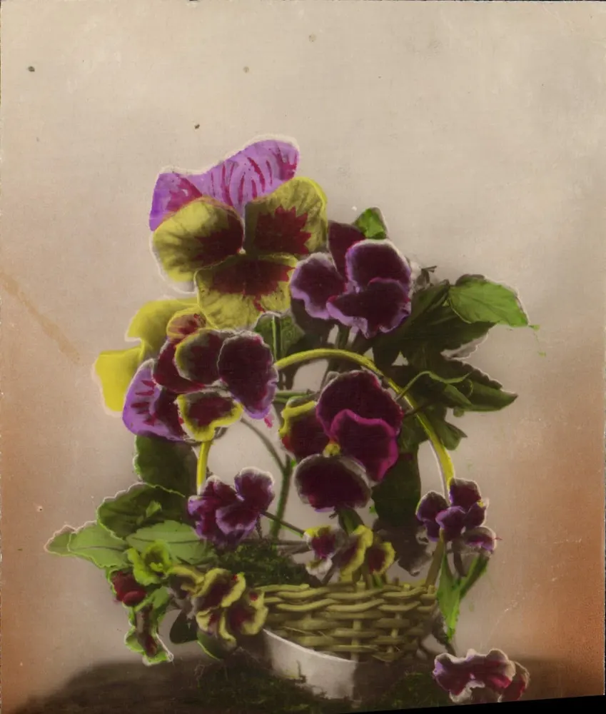 Cesta de pensamentos — flores coloridas — fabricação francesa - Frente
