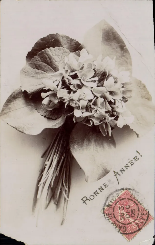 Bouquet de fleurs — hydrangea et feuilles — éditeur G. Correjeler, Lyon - Frente