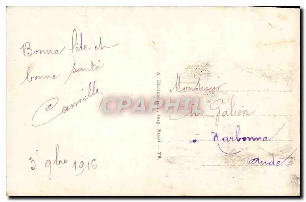 प्राचीन गुलाब — दृश्य — REX 661 - पीछे
