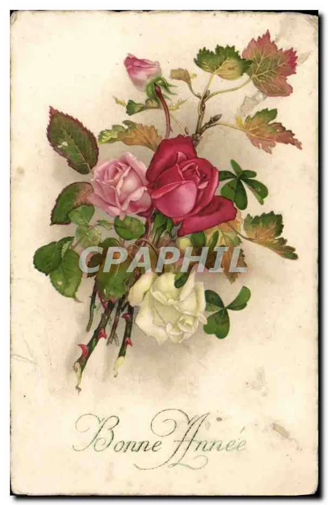 Arranjo de rosas — Boas Festas — editor não identificado - Frente