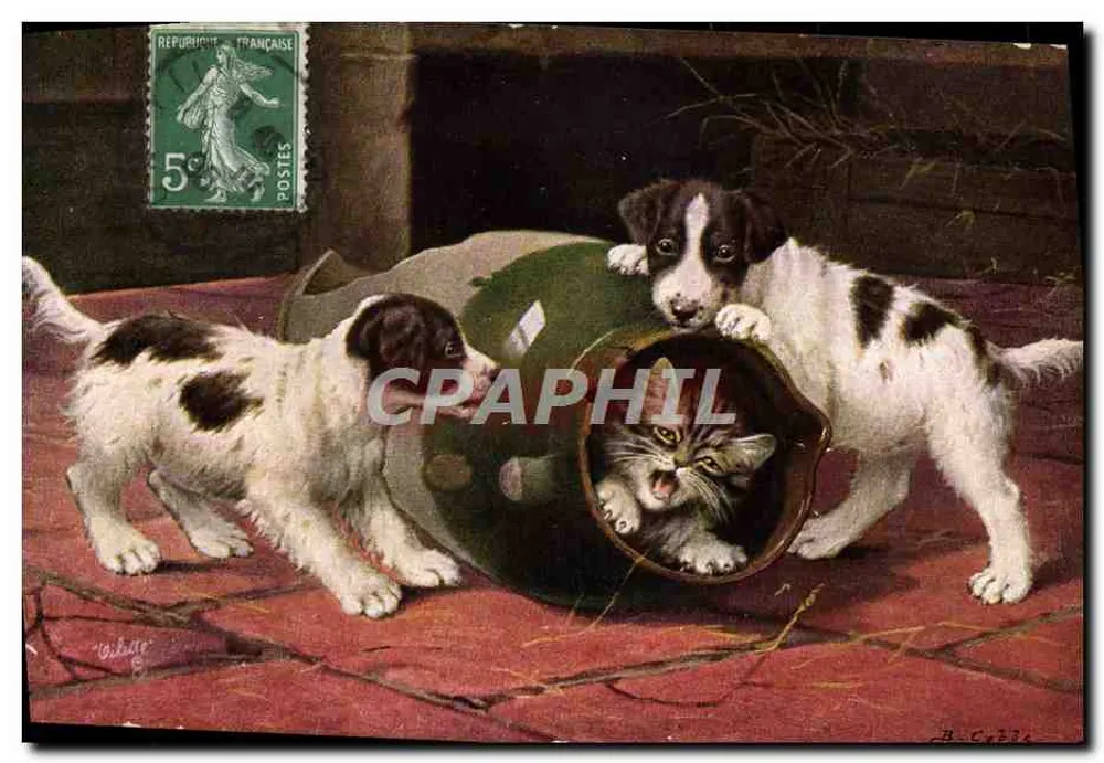 Cães e gato em um barril — Tuck's Post Card, editor Tuck & Sons, n° 9381 - Frente