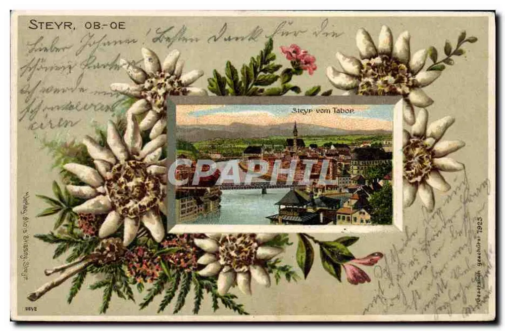 Steyr, Ob-ÖE — vue depuis le tabac — éditeur Wohlg. Bros. Steyr, n° 1112 - Recto