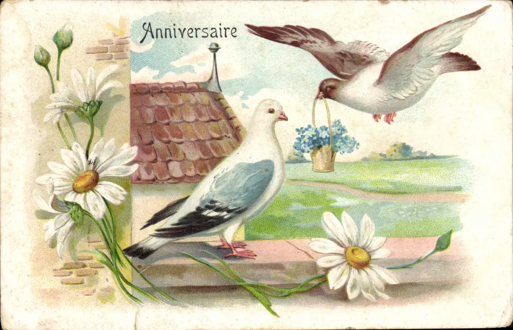 Pigeons et marguerites — scène champêtre avec oiseau portant un panier — éditeur non visible - Frente