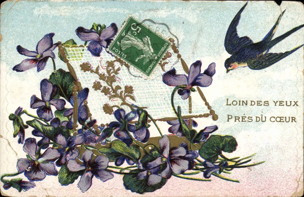 Violes et hirondelles — Loin des yeux, près du cœur — Éditeur non identifié, n° de série non visible - Recto
