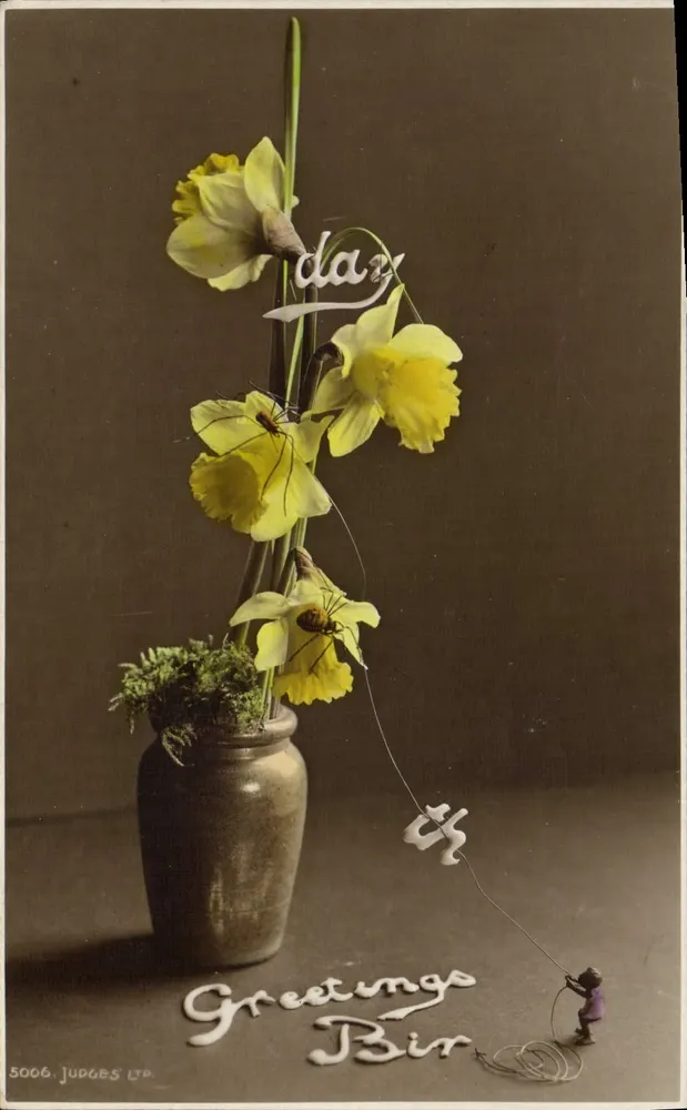 Narcisos em um vaso — JUDGES' LTD, n° 5006 - Frente