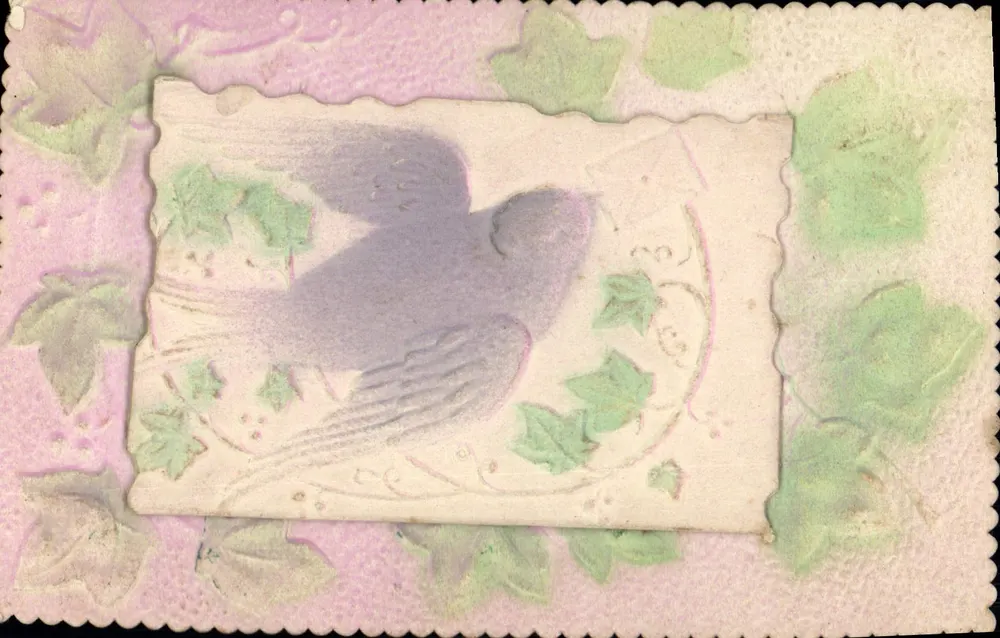 Ave de entre os lianças — cartão postal decorativo — editor não visível - Frente