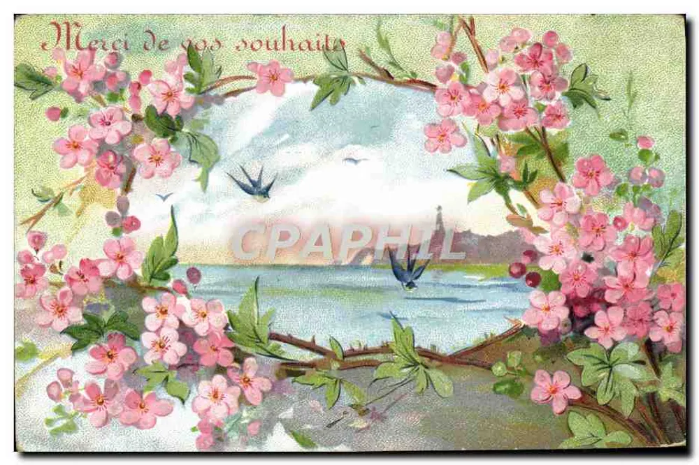 Flores de cerejeira — vista de margem com pássaros — editor não visível - Frente