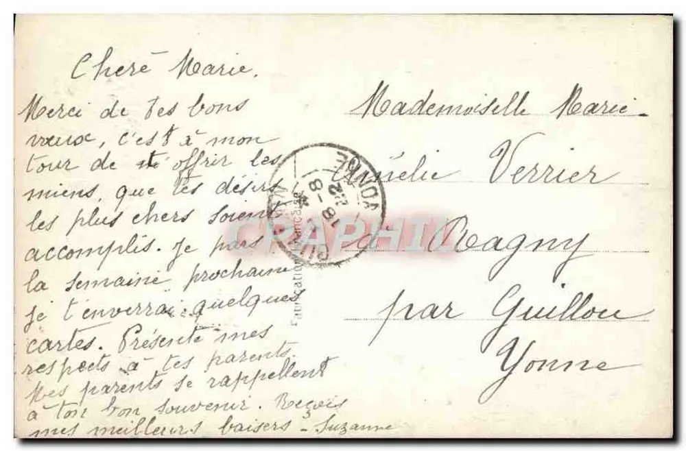 Santa Maria — Rosa decorativa — Suzy 895 - Verso