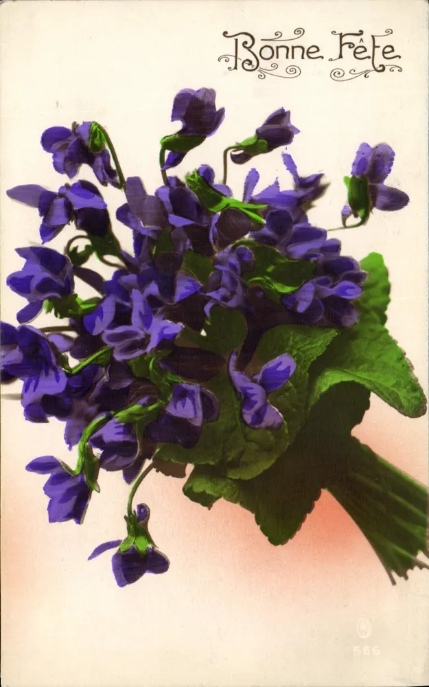 Arranjo de violetas — Feliz Aniversário — editor desconhecido, n° 666 - Frente
