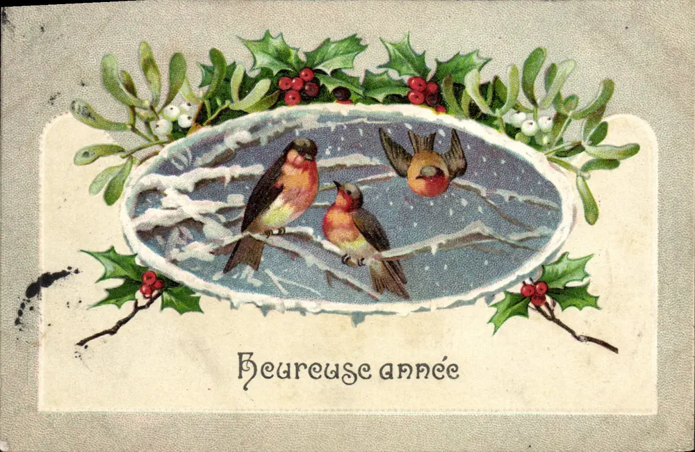 Pássaros na neve — Feliz ano — editor não visível - Frente