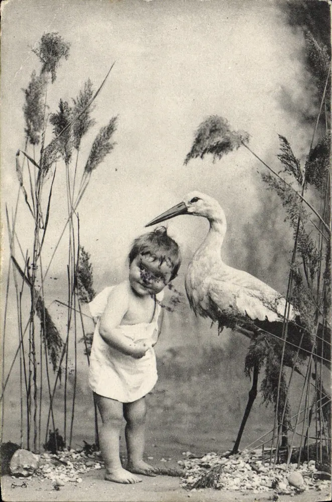 Kind und Storch — Dekoration aus Schilf — Verlag P. F. B. Serie 704 - Vorderseite