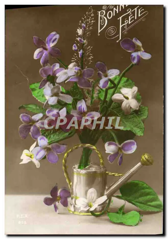 Violetas em um regador — Boa Festa — FLEX, n° 896 - Frente