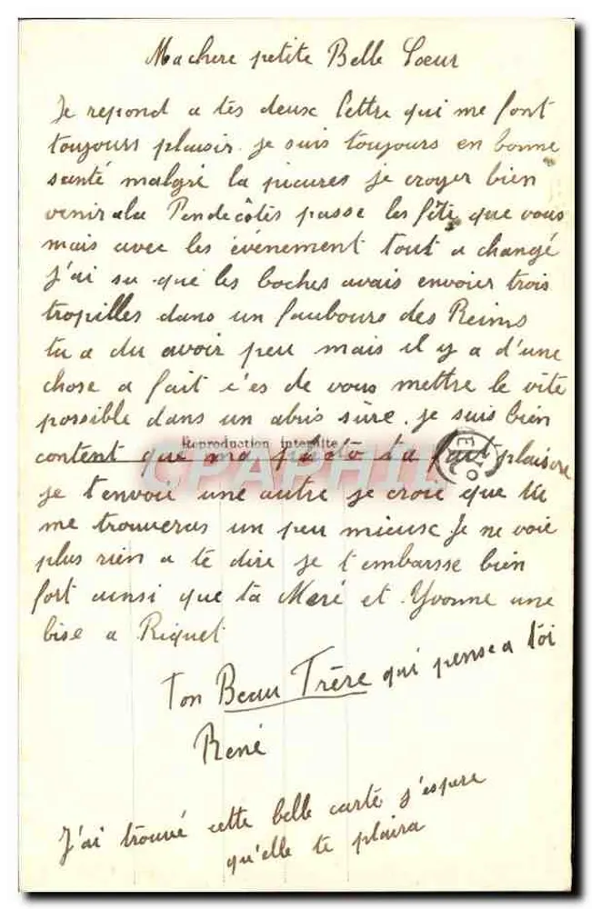 Arranjo de flores — CEK° 2461 — Editora CEK° - Verso