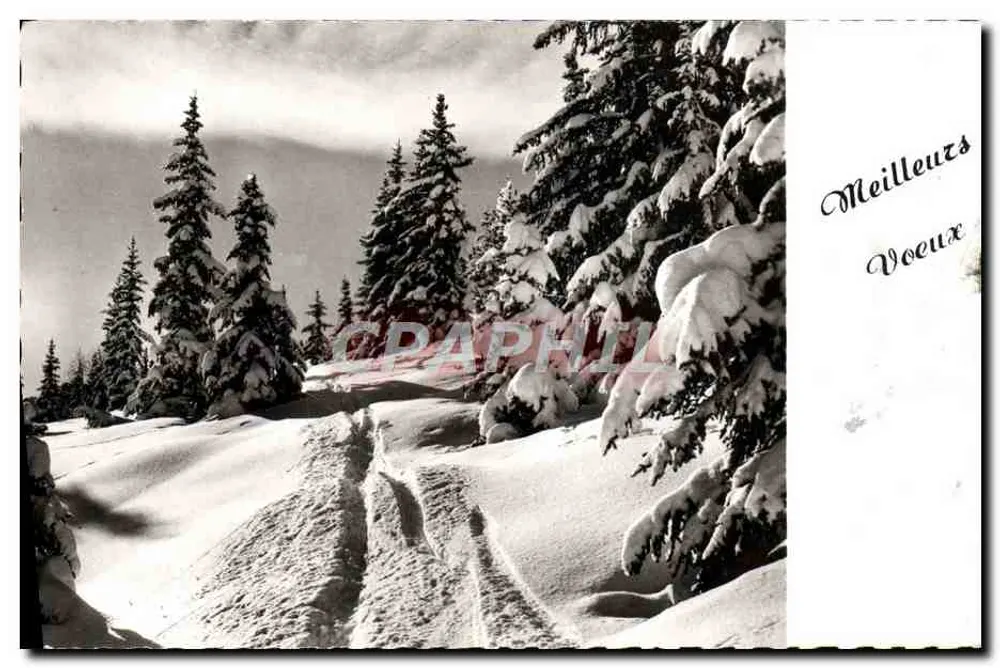 Paisagem nevada — trilha com marcas de esquis — edições fotográficas ANSOL, N° 4 - Frente