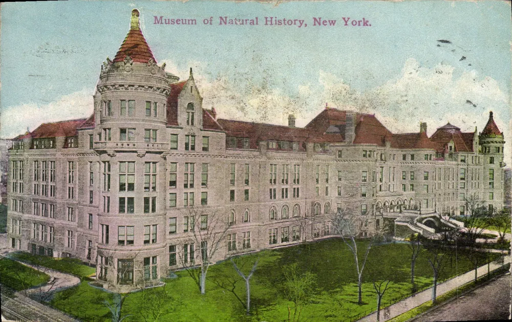 Museum of Natural History, New York — Success Postal Card Co., New York. No. 1110. - Vorderseite