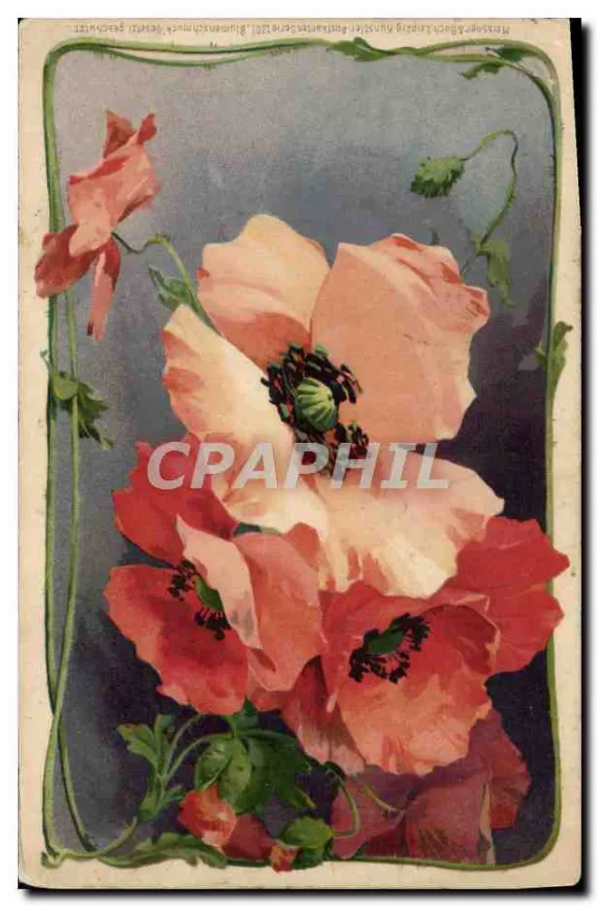 Poppies — bouquet coloré — éditeur Menscher & Buch, Leipzig - Awers