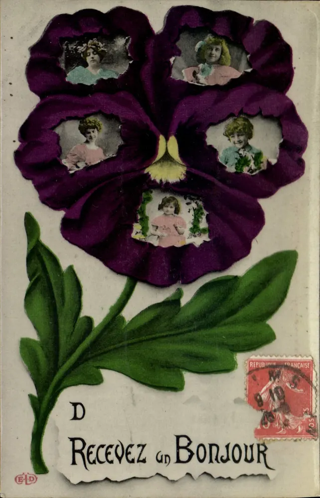 Violettblüte — Porträts von Kindern — E·D - Vorderseite
