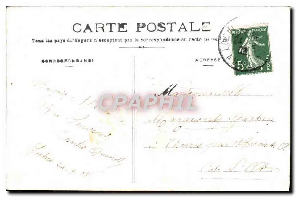 Rosa rosa — ilustração — Cartão postal francês - Verso