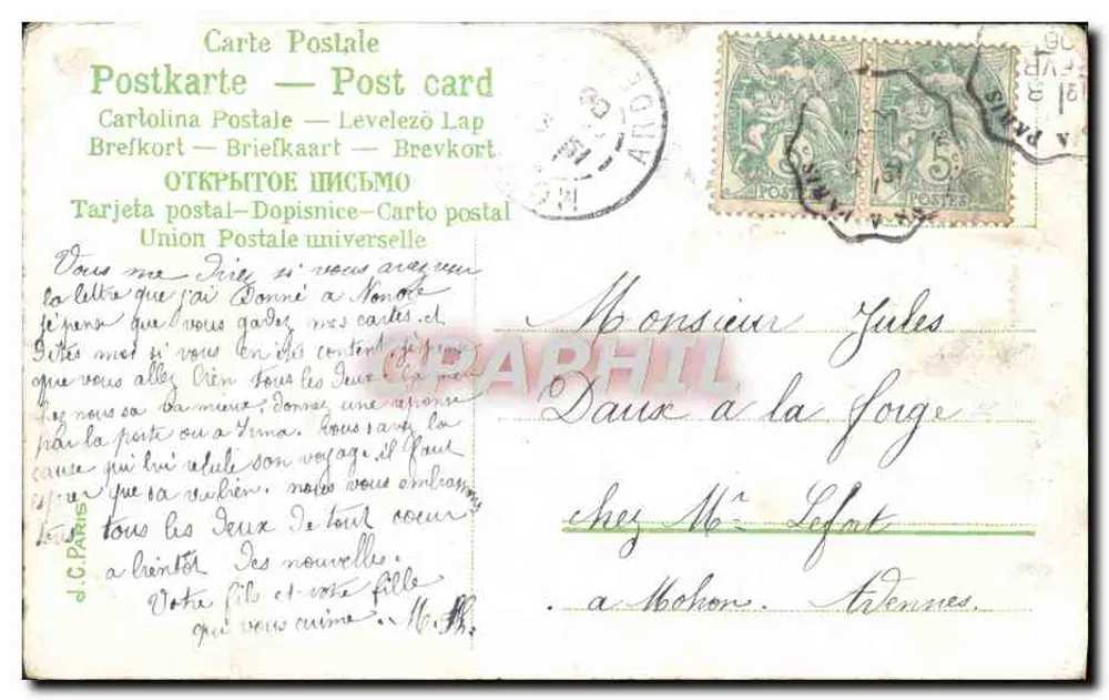 Bouquet de fleurs roses — dans un pot — éditeur anonyme - Verso