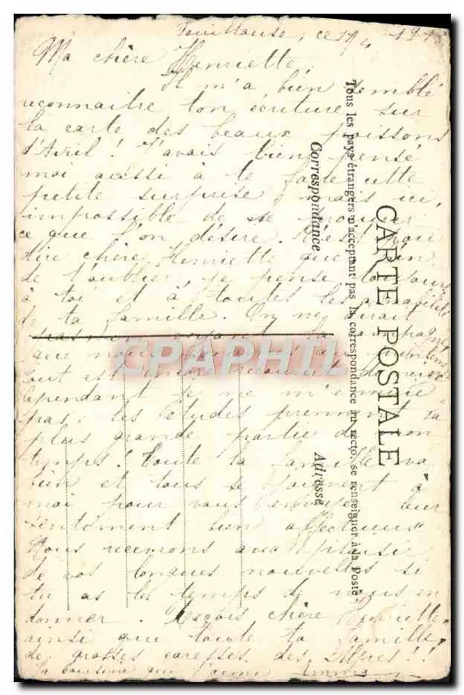 अनेमोन — एक्रिलिक रंग — E.M. (हस्ताक्षरित) - पीछे