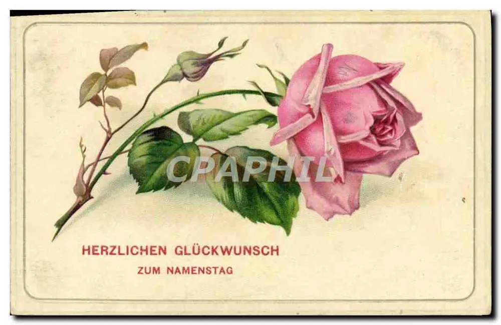 Rose — Happy Wishes for a Baptism Day — series 50240, printed in Germany - Front