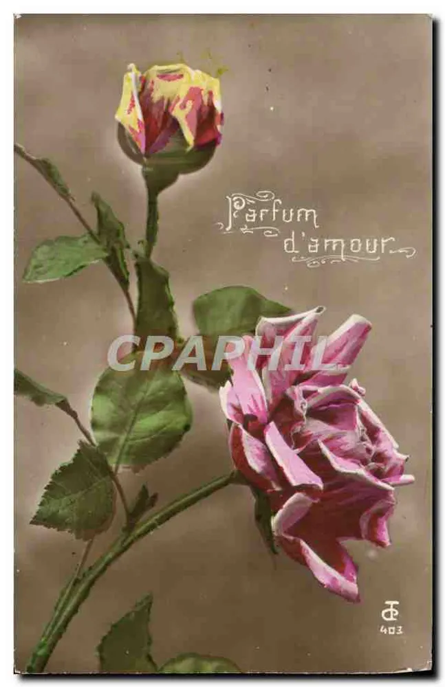 Rosier — Cheiro de amor — Editor J. F. n° 403 - Frente