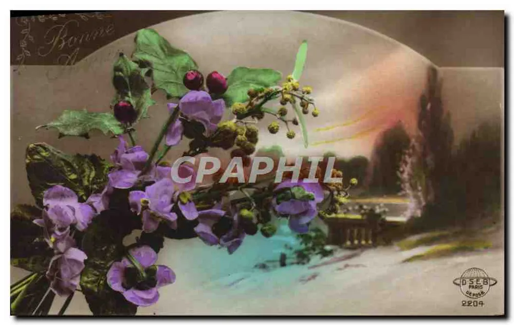 Arranjo de flores violetas e bagas — D.S.E.B. Paris 2204 - Frente