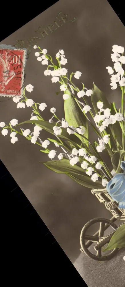 Lily of the Valley — bouquet dans un chariot — éditeur non visible - Recto