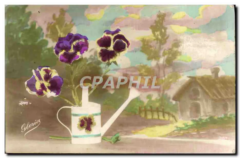 Pansies in a watering can — garden scene — Gloria - Front