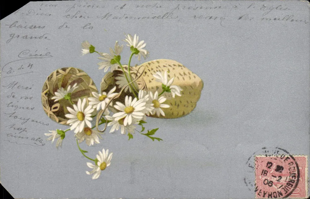 Fleurs de camomille et chapeaux de paille — éditeur non visible, n° de série non lisible - Frente