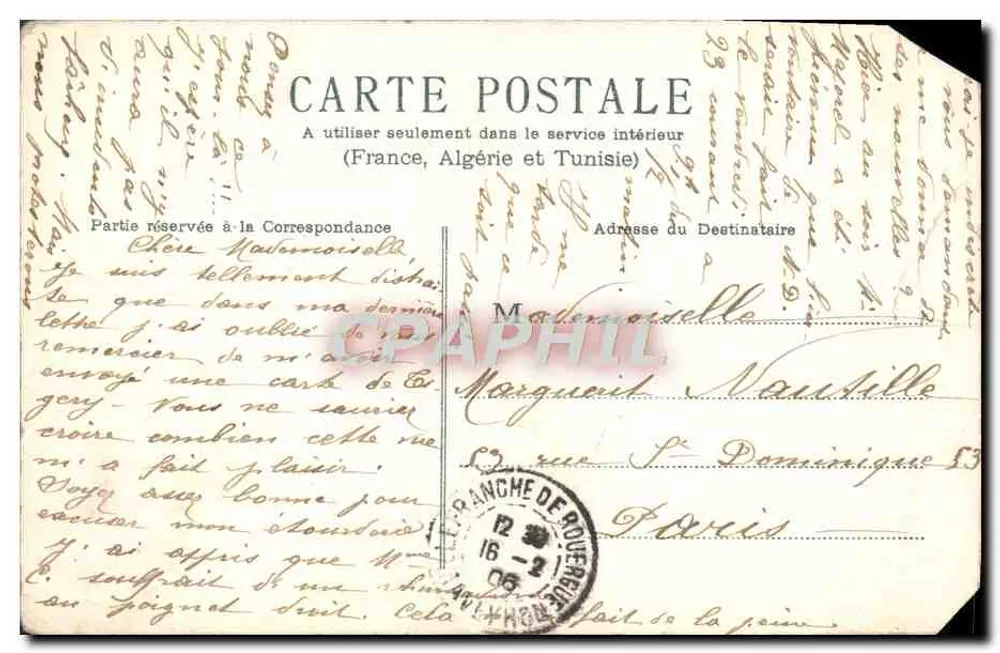 Fleurs de camomille et chapeaux de paille — éditeur non visible, n° de série non lisible - Verso