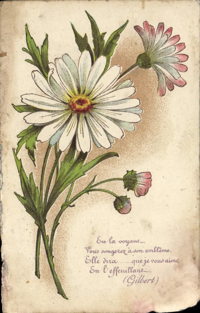 Flores de margaridas — poema de Gilbert — editor anônimo, série não identificada - Frente