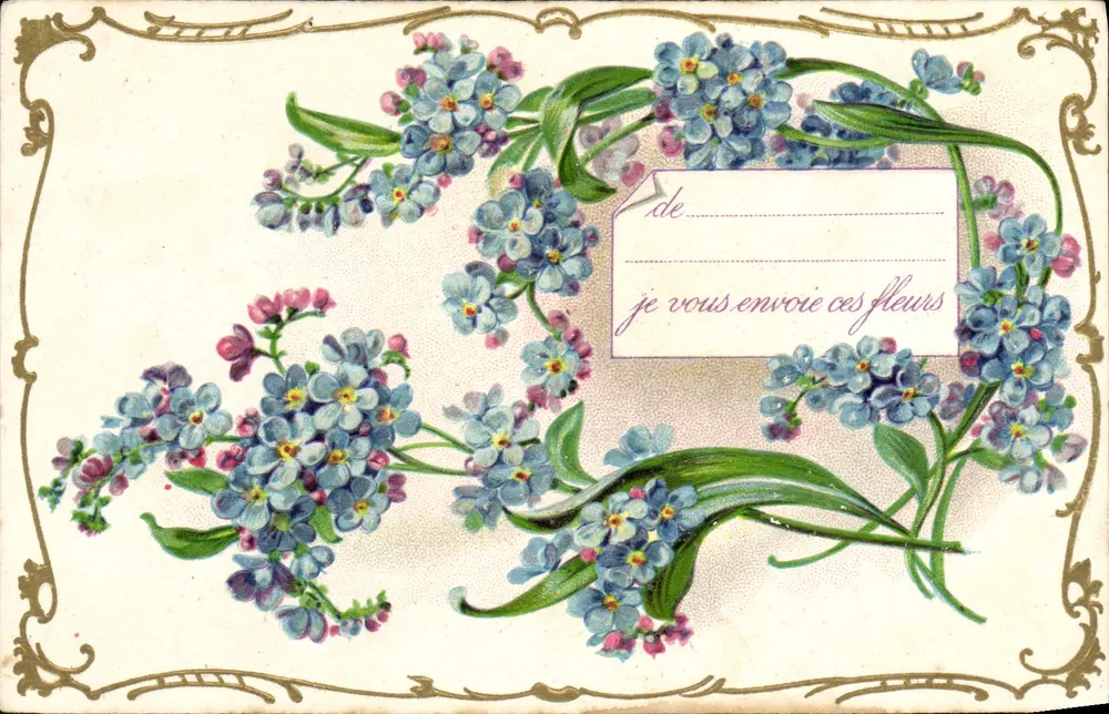Flores de esquecimento — cartão postal — K.F. Editores, Paris, Série 1.954 - Frente
